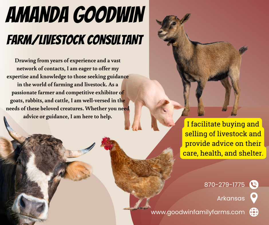 We facilitate stress-free buying and selling of livestock and provide advice on their care, health, and shelter.